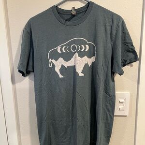 Star Plunge - Thermopolis, Wyoming - Do It For The Plunge- Buffalo Graphic shirt